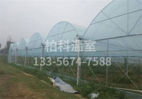 small4_15627525187258879